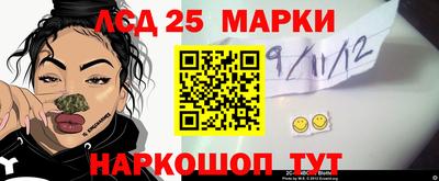 крисы Кинель