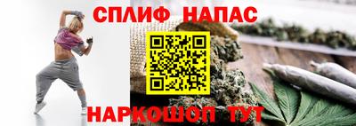 Альфа ПВП Кимры