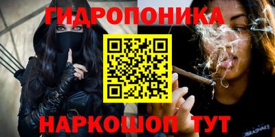крисы Кинель